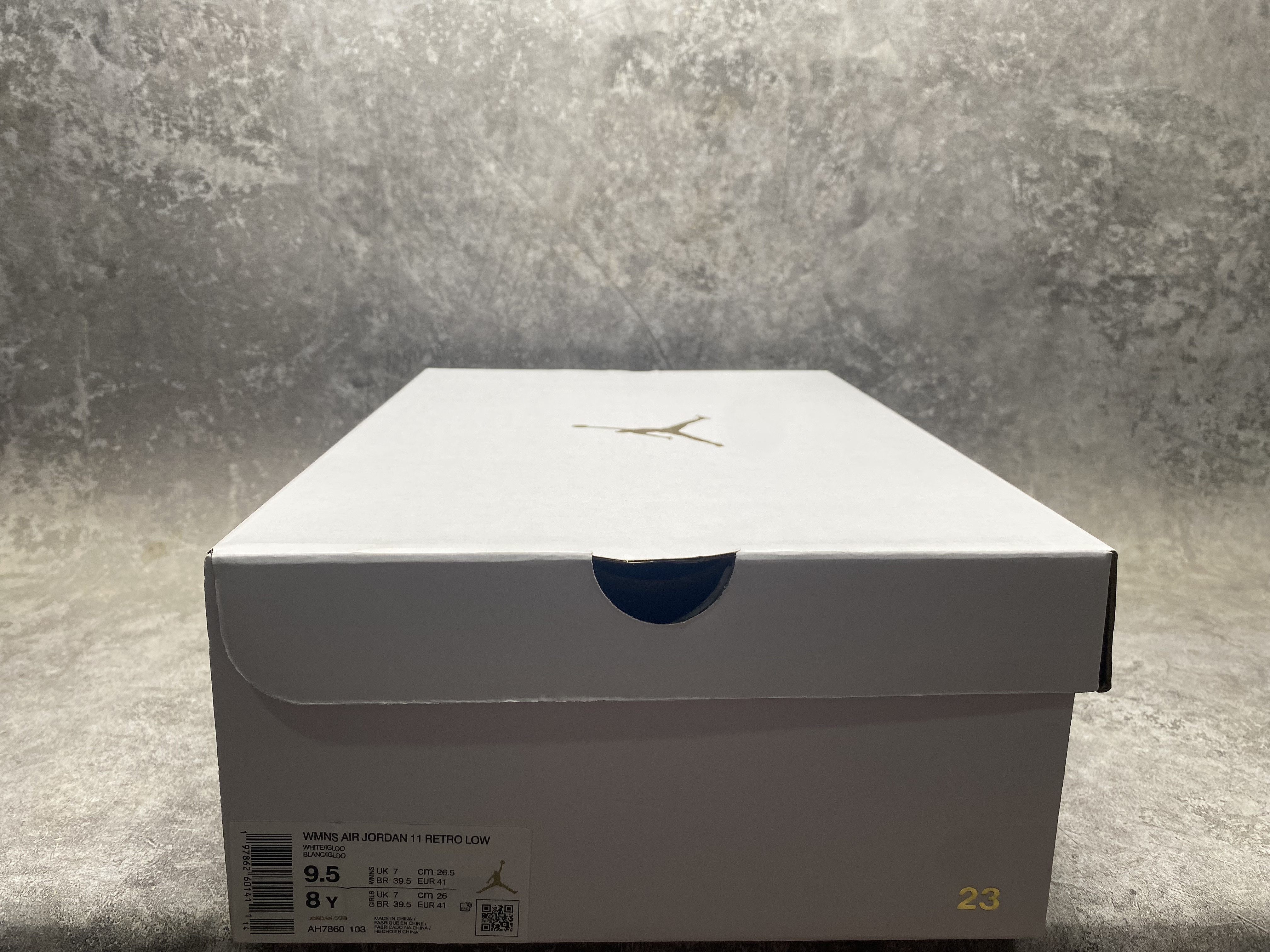 UA Jordan 11 Retro Low