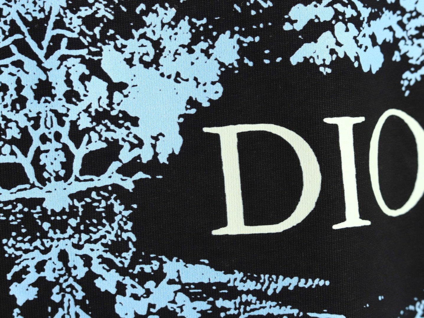 D*or 25ss short-sleeved t-shirt