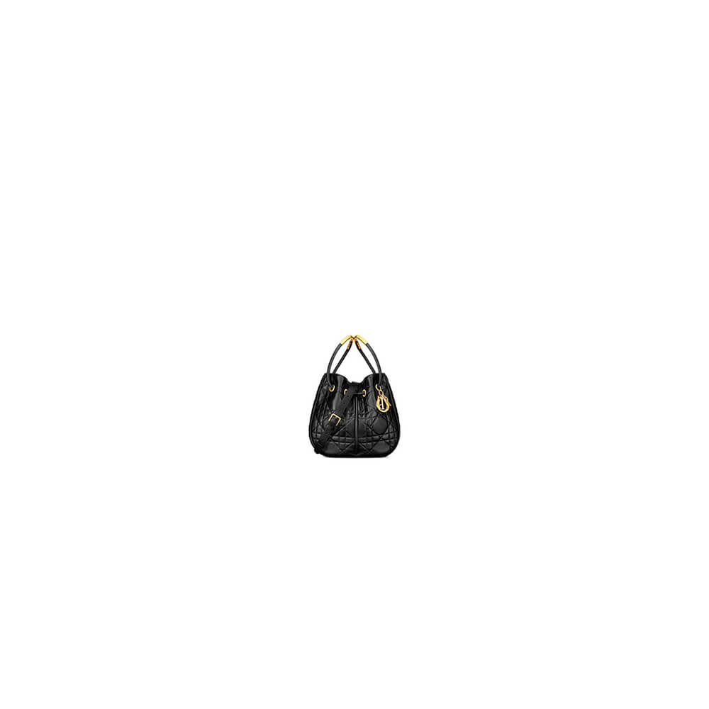 medium D*or nolita bag