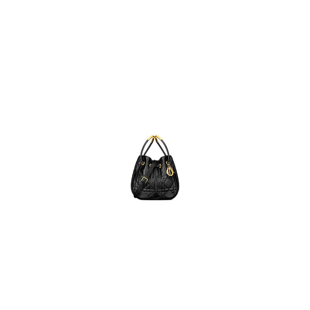 large D*or nolita bag