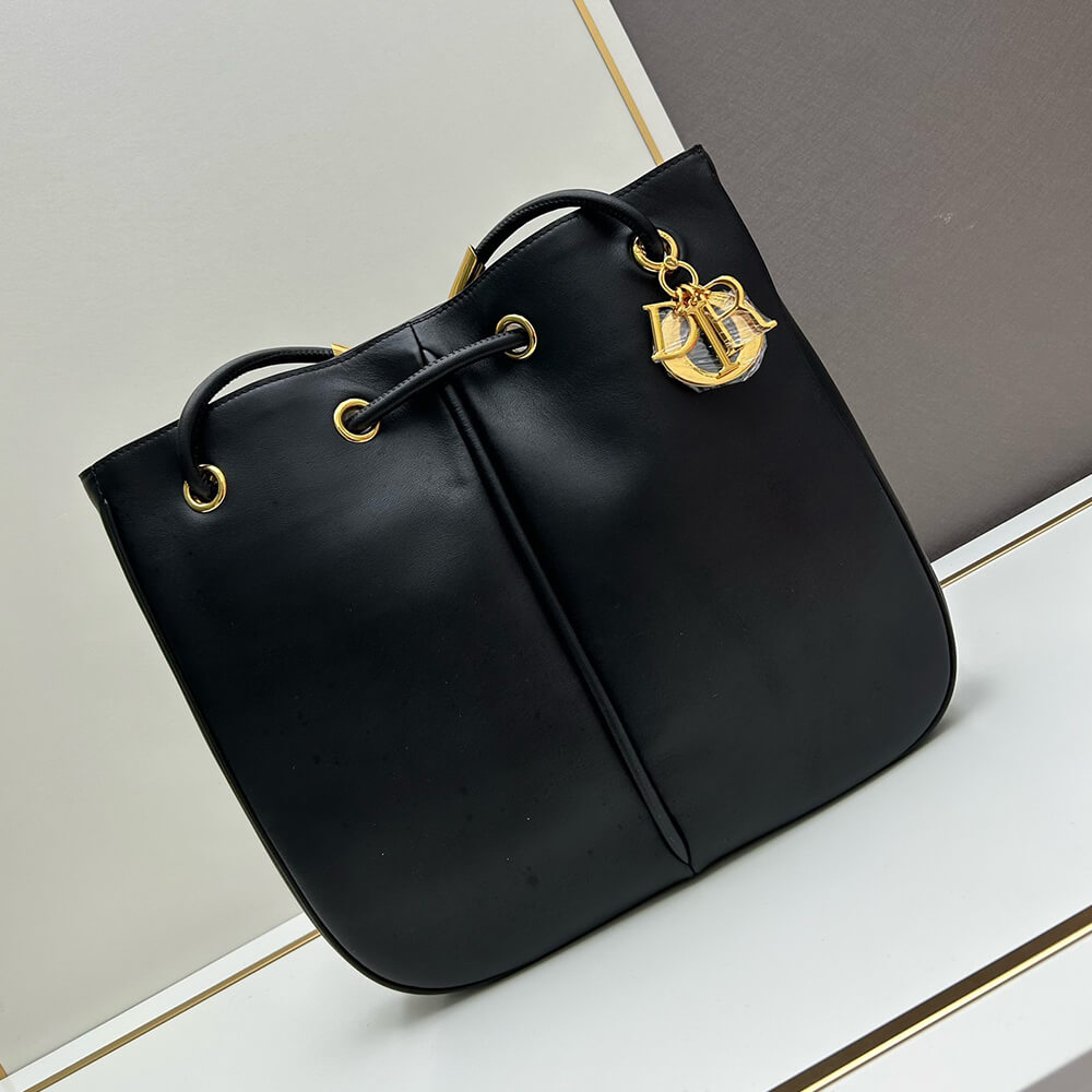 large D*or nolita bag