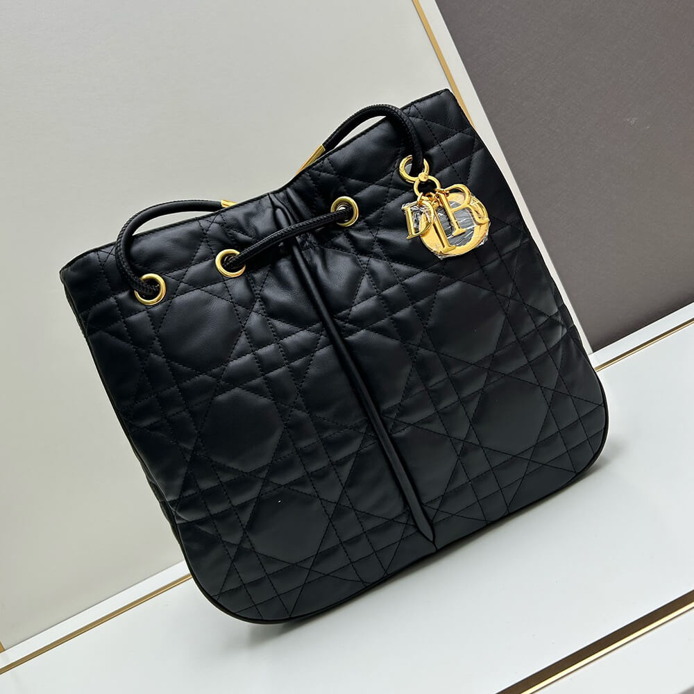 large D*or nolita bag
