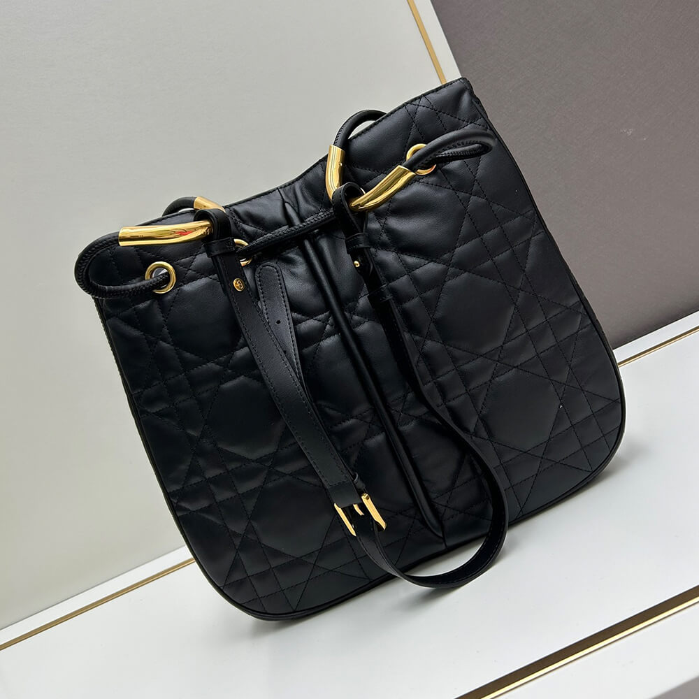 large D*or nolita bag