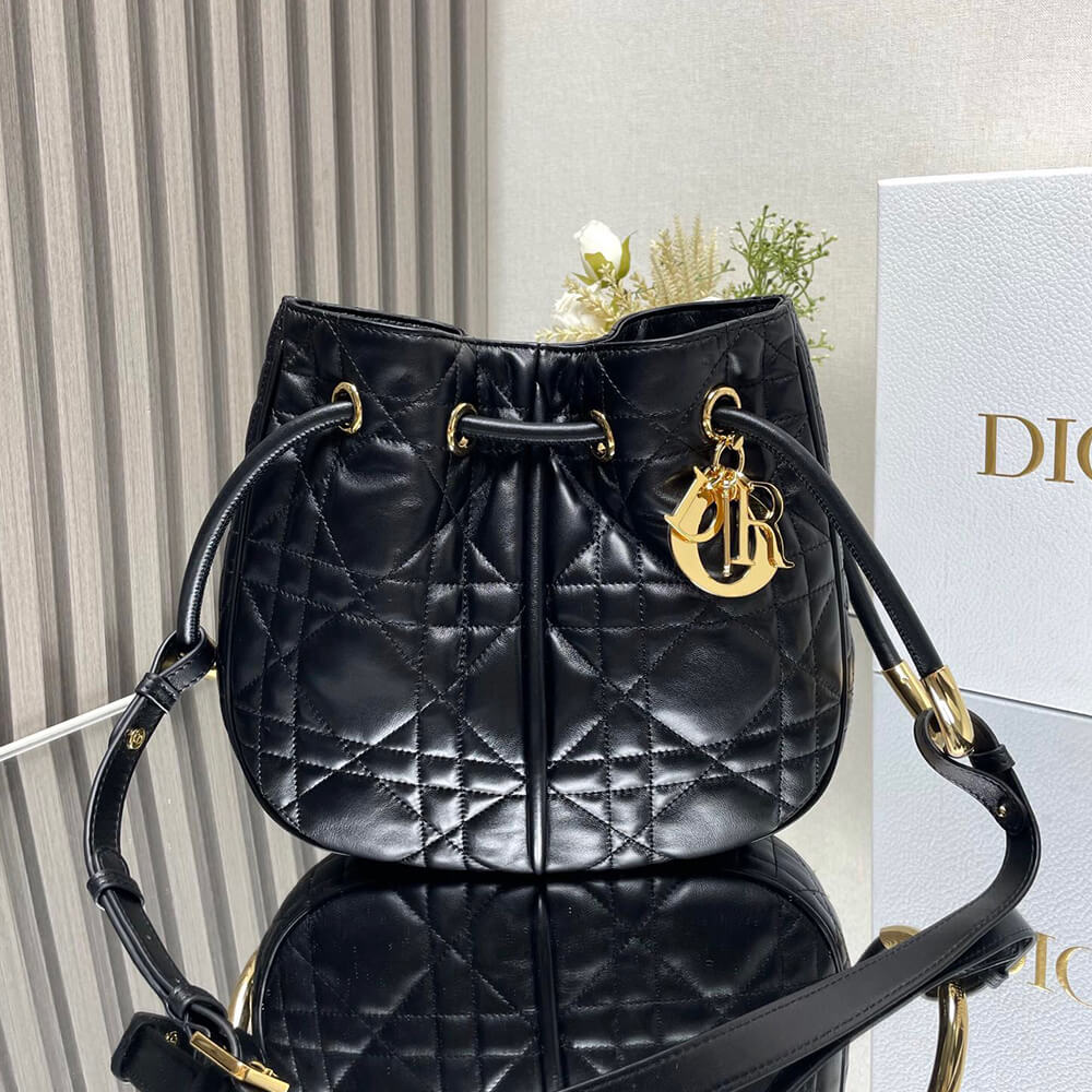 medium D*or nolita bag