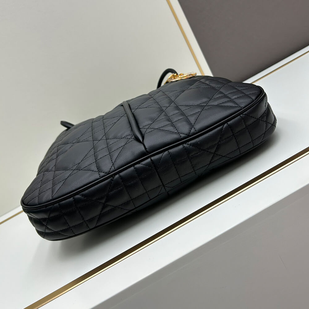 large D*or nolita bag