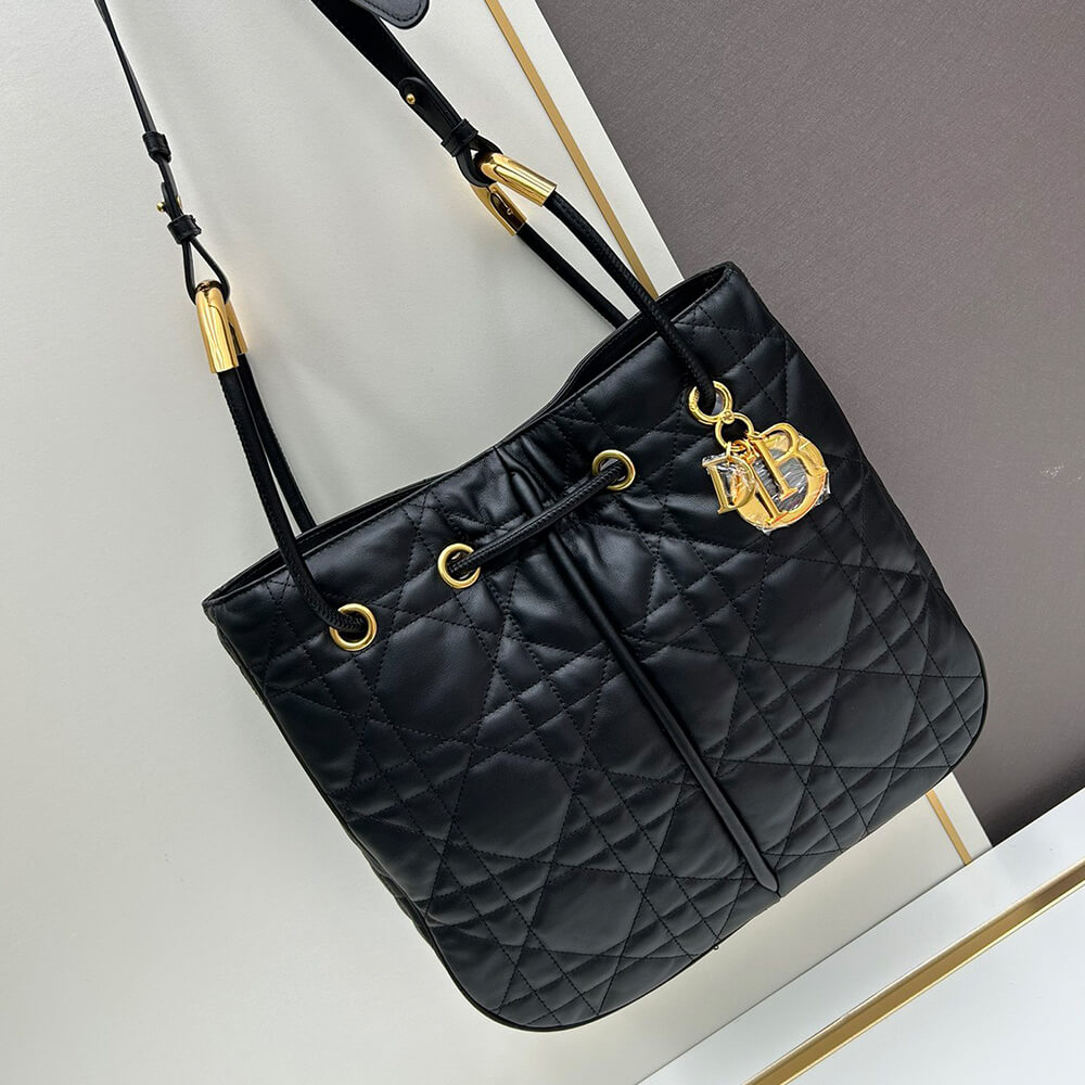 large D*or nolita bag
