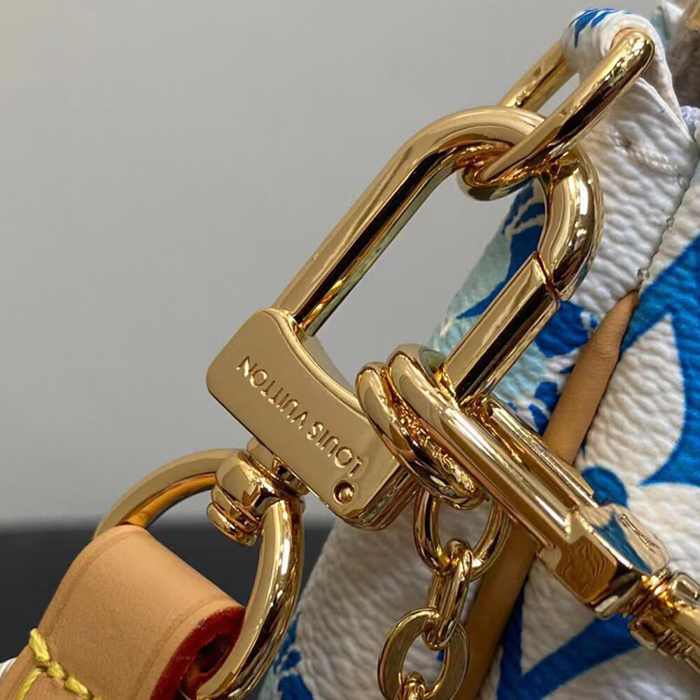 LV Multi Pochette Accessoires
