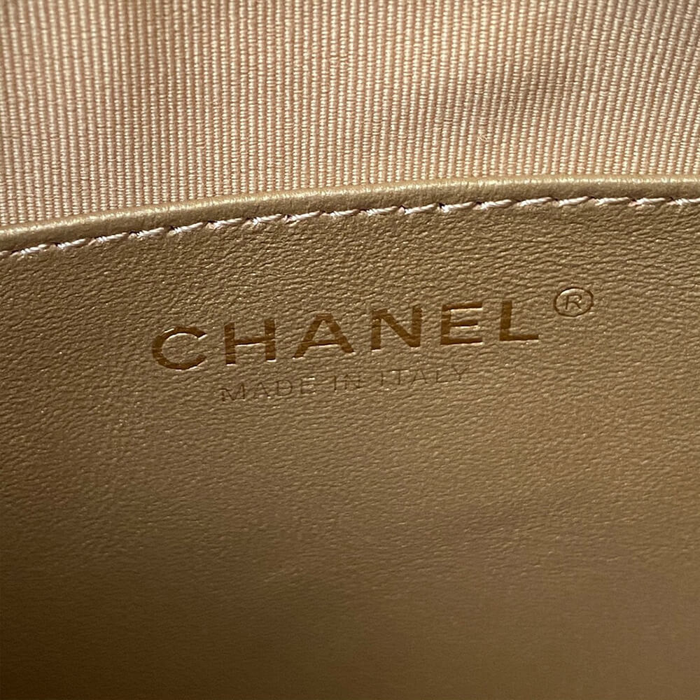 Ch*el hobo handbag