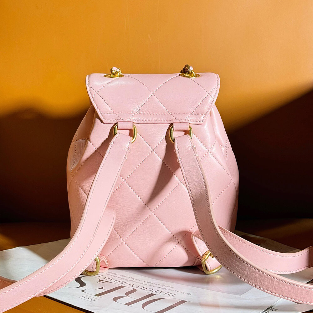 Ch*el backpack(high-end grade)