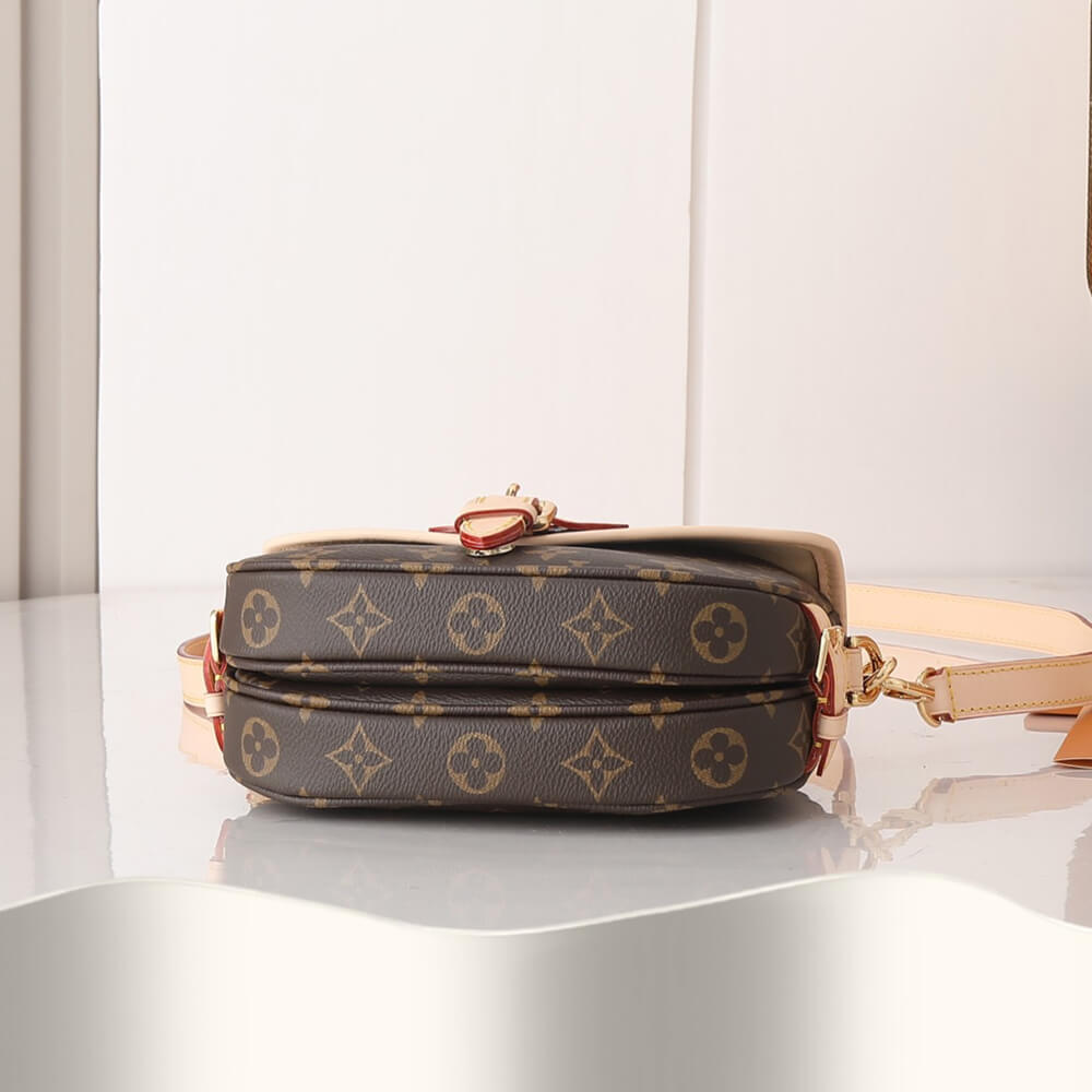 LV Saumur BB