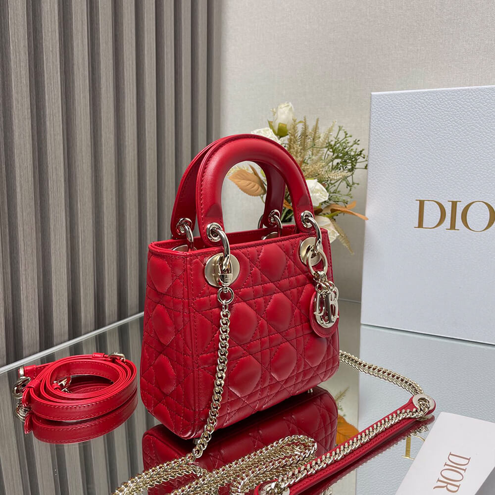 mini lady D*or bag