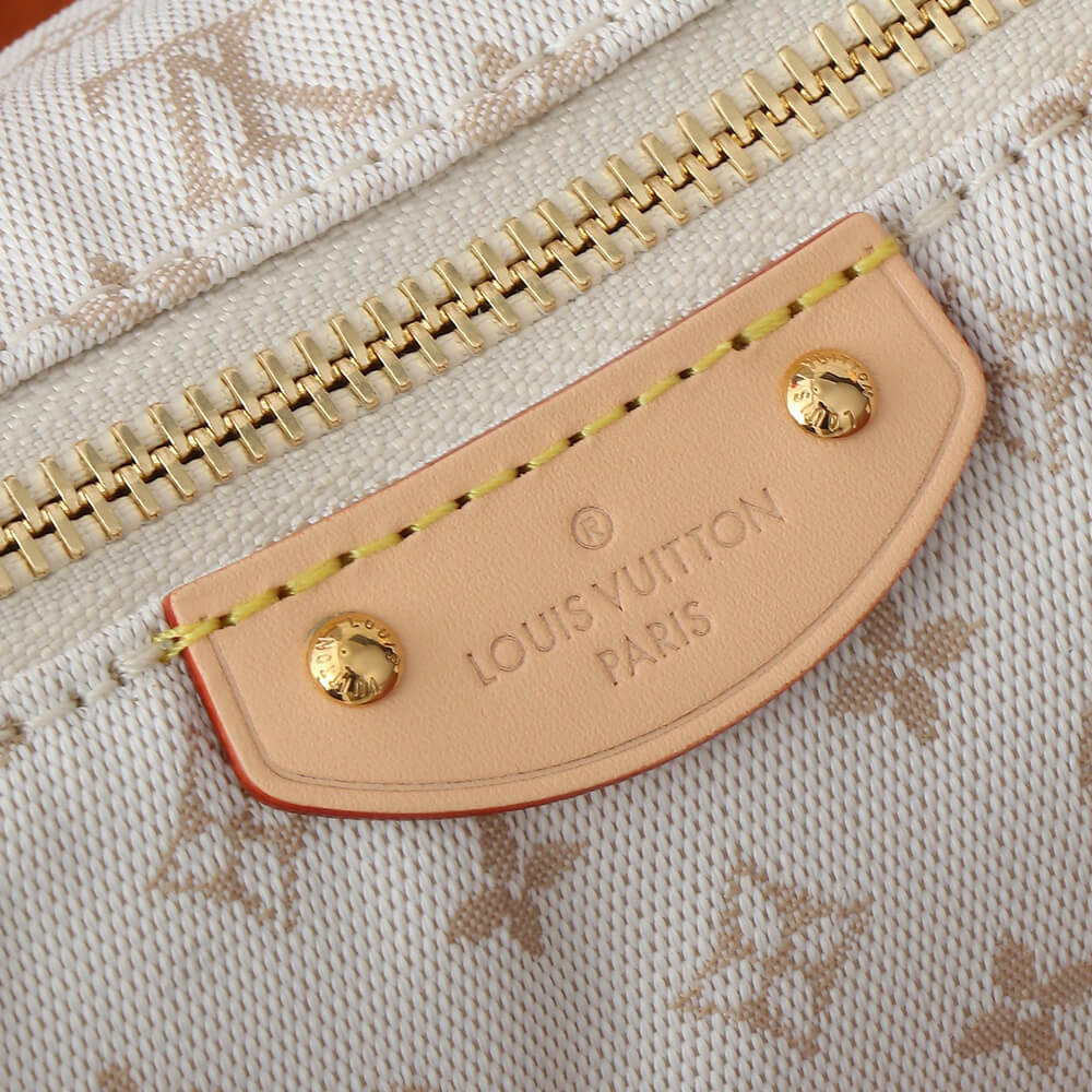 LV Hills Pochette