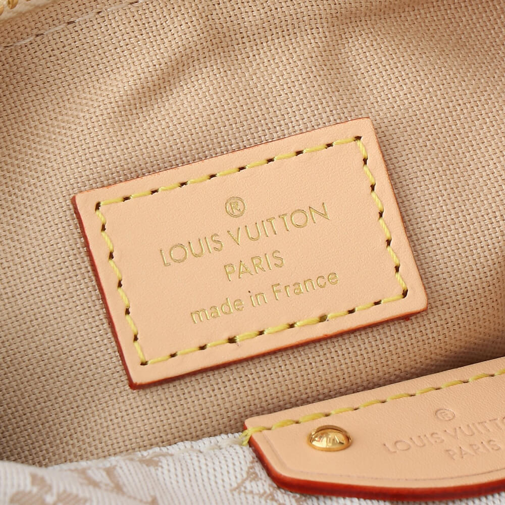 LV Hills Pochette