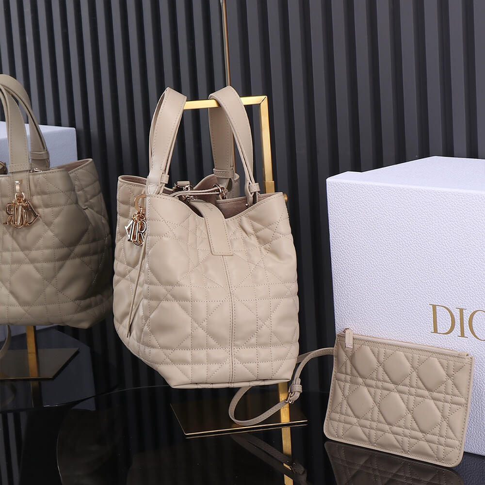 medium D*or toujours bag(high-end grade)