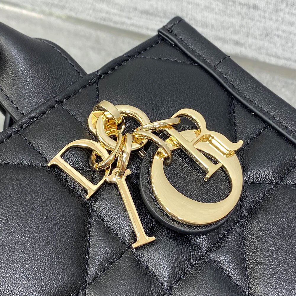 mini D*or book tote