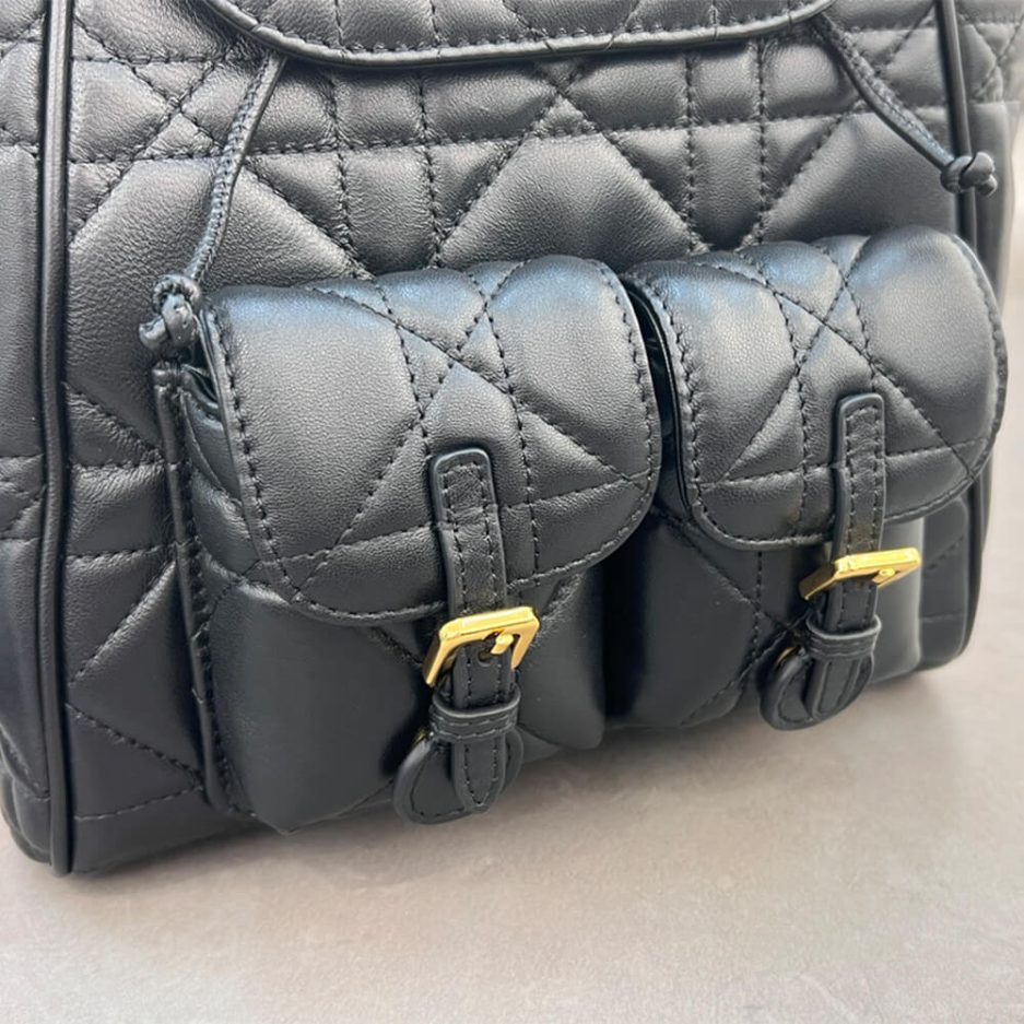 medium D*or caro backpack