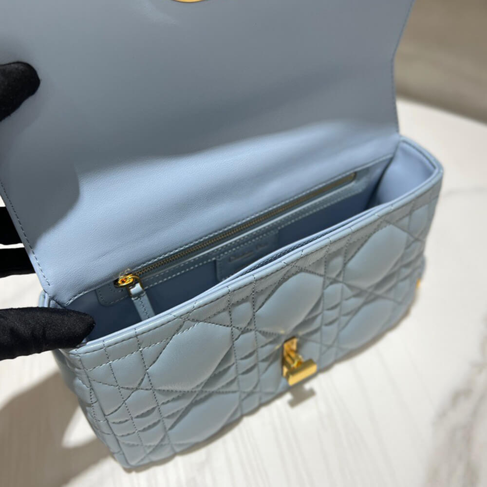 medium D*or caro bag