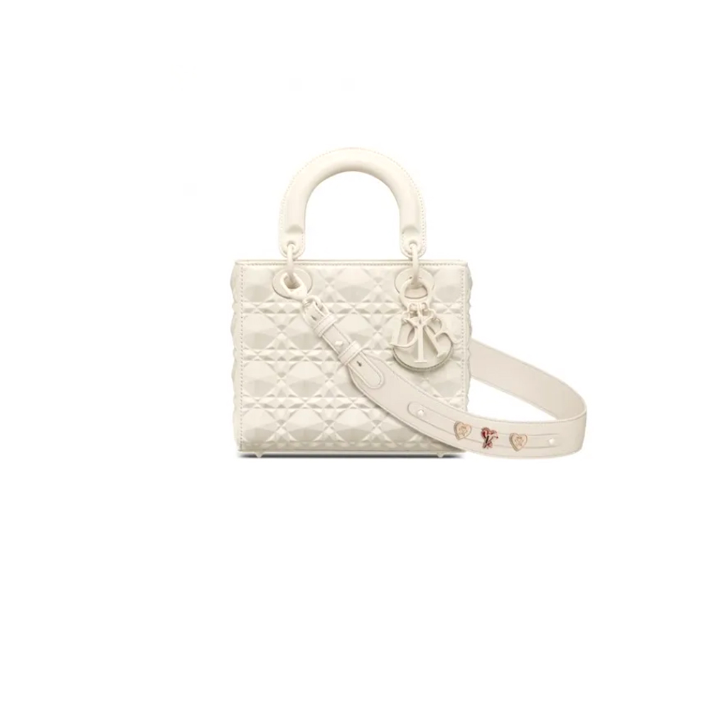 small lady D*or my abcD*or bag