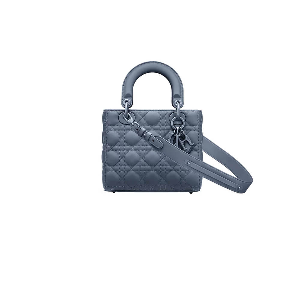 small lady D*or my abcD*or bag