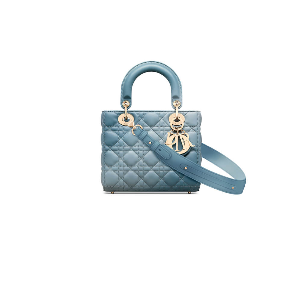 small lady D*or my abcD*or bag