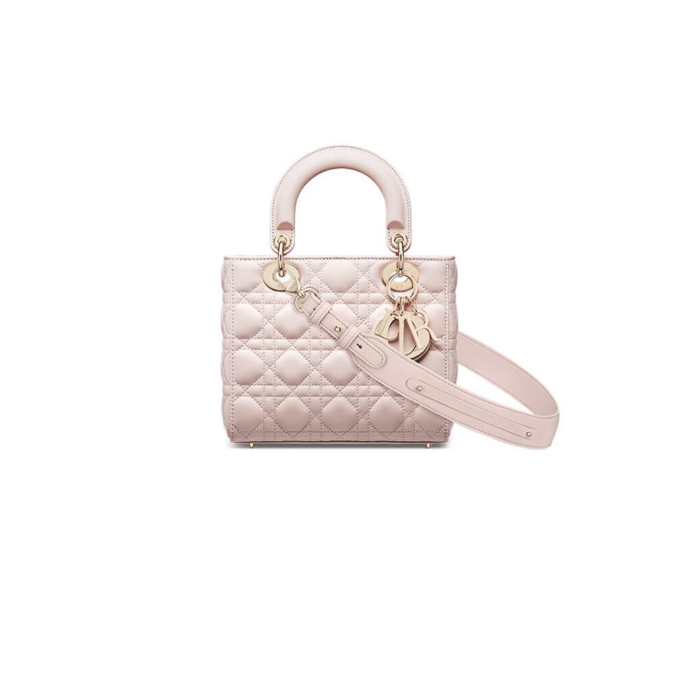 small lady D*or my abcD*or bag