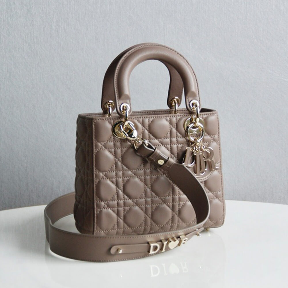 small lady D*or my abcD*or bag
