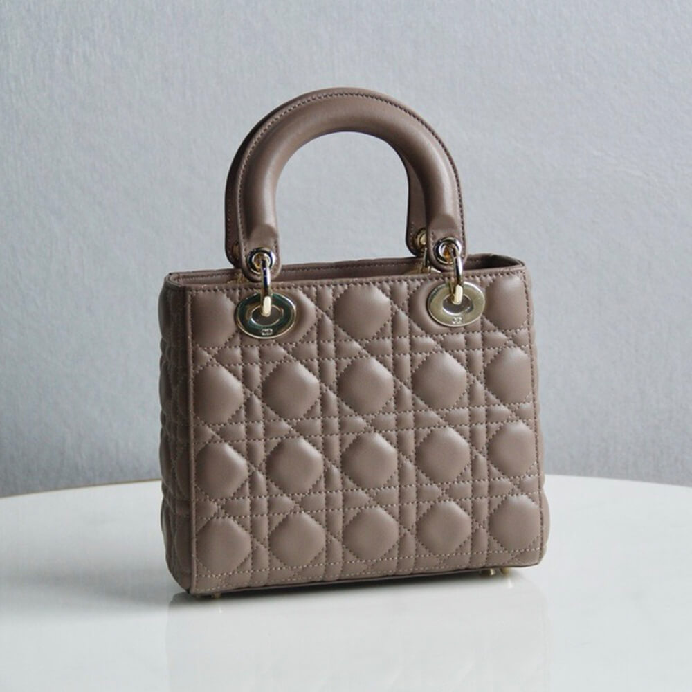 small lady D*or my abcD*or bag