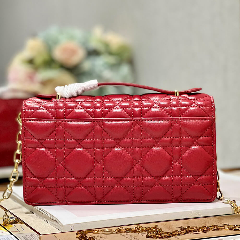 miss D*or mini bag