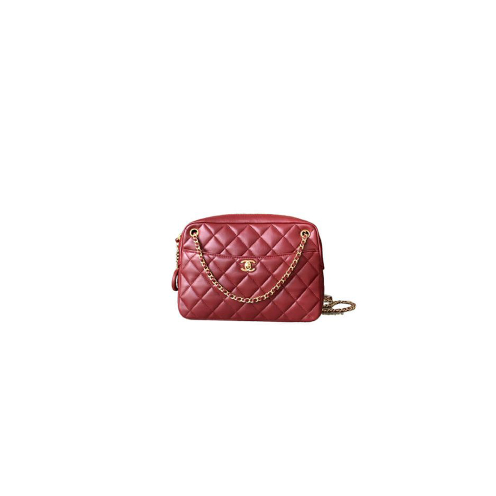 Ch*el large camera case